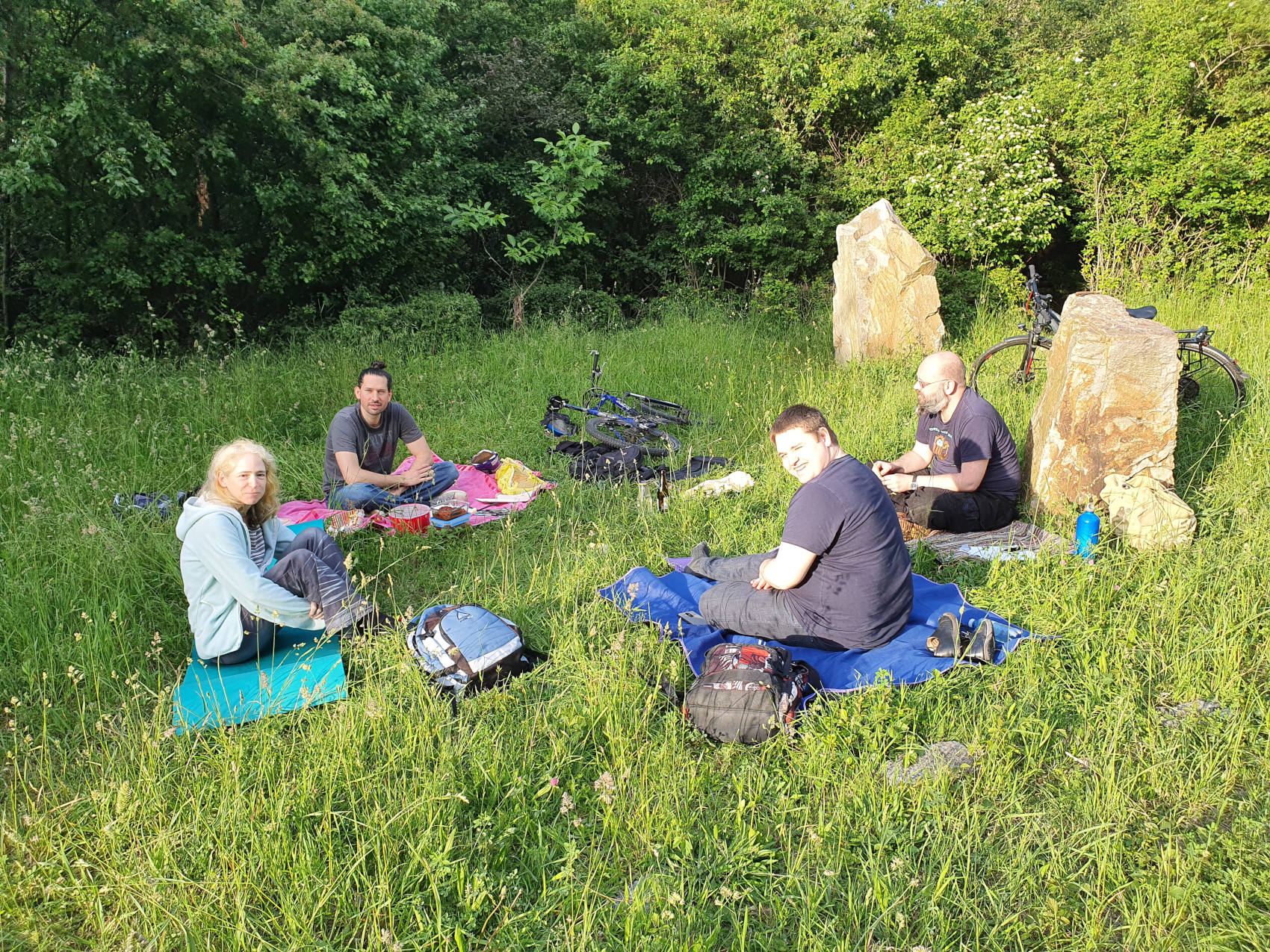 Seltene Aufnahme von Pythonistas im Sonnenlicht.